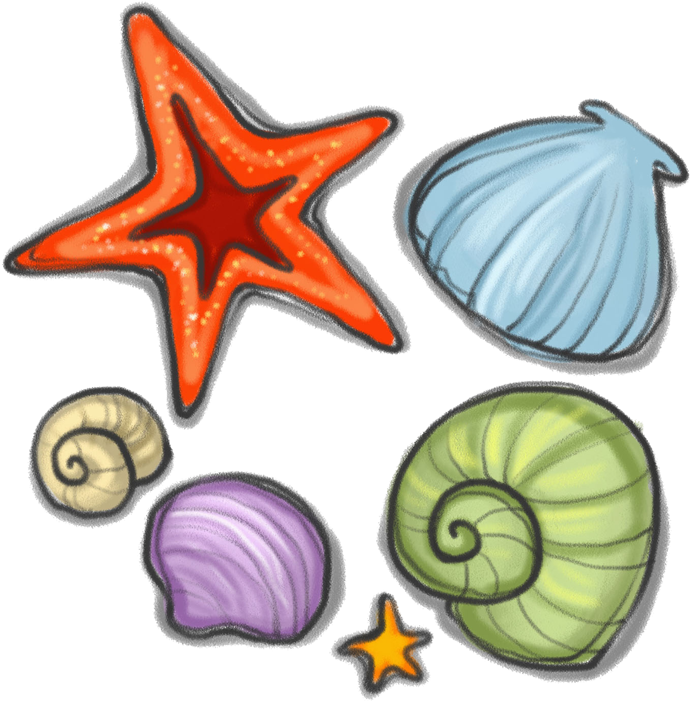 Svg Royalty Free Library Seashell Starfish Snail Clip - Seashell (1902x1836), Png Download