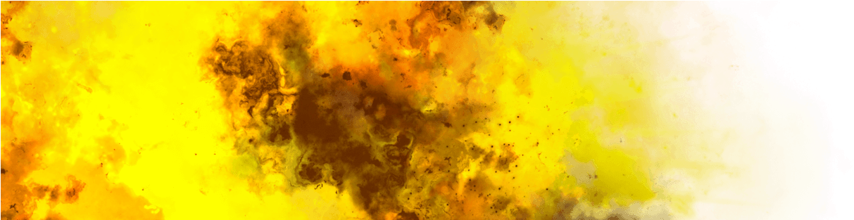 Tree (1542x312), Png Download