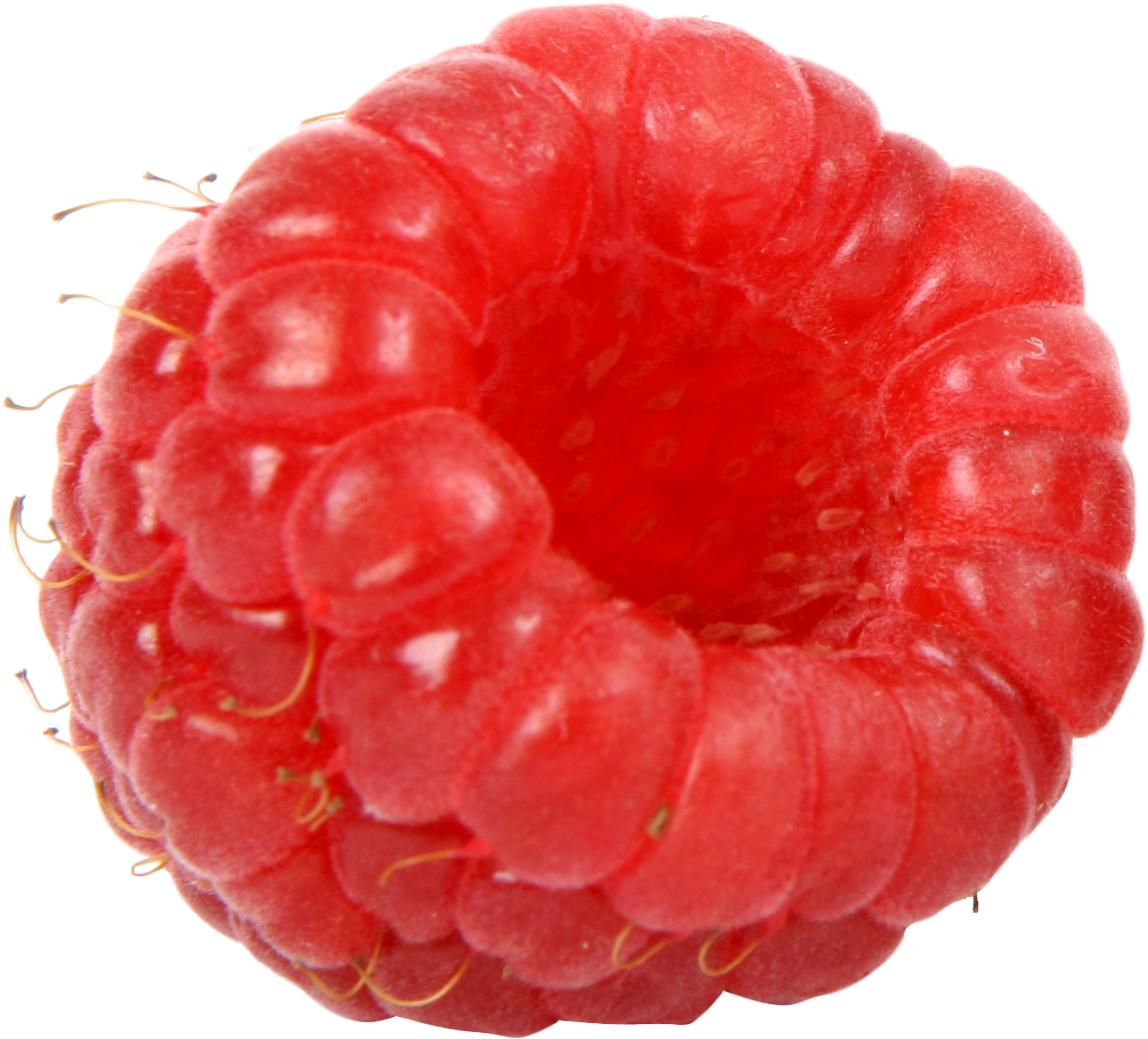 Frambuesa Negra (1227x1091), Png Download