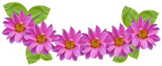 Monkey Emoji With Flower Crown Png - Flower Crown Png Transparent Free (450x300), Png Download