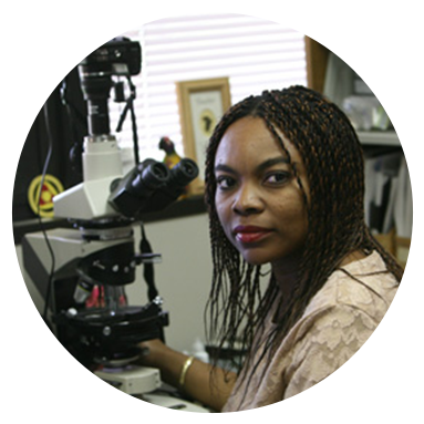 Geology (390x390), Png Download