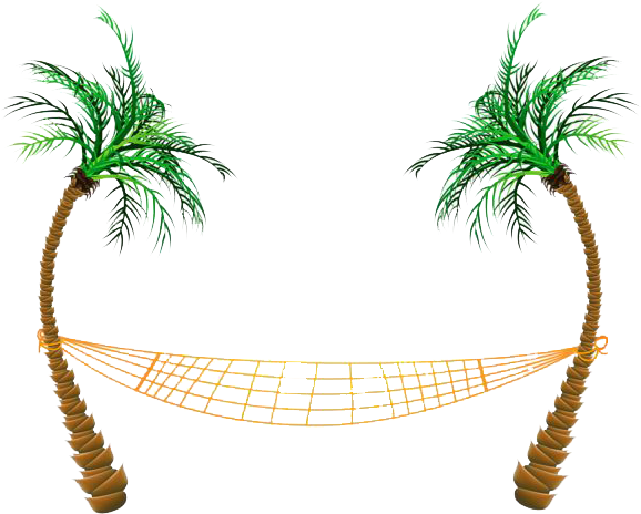 Beach Png Clipart - Palm Tree Hammock Clip Art (600x484), Png Download
