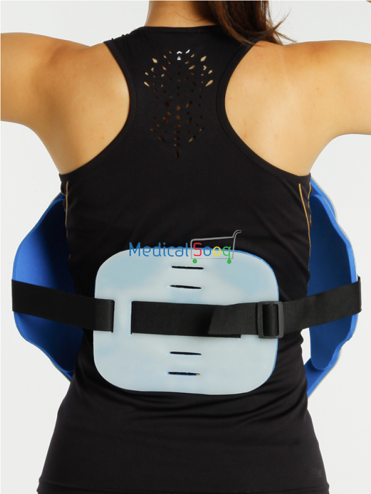 Parent Directory - Active Tank (1000x1000), Png Download