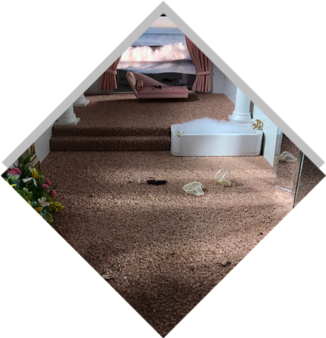 Glp - Diamonds - Aleia - Roof (480x480), Png Download