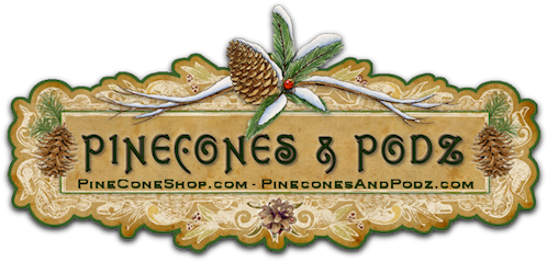 Pinecones & Podz - Label (517x248), Png Download