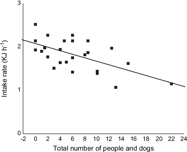 The Influence Of The Number Of People And Dogs On The - Plot (659x533), Png Download