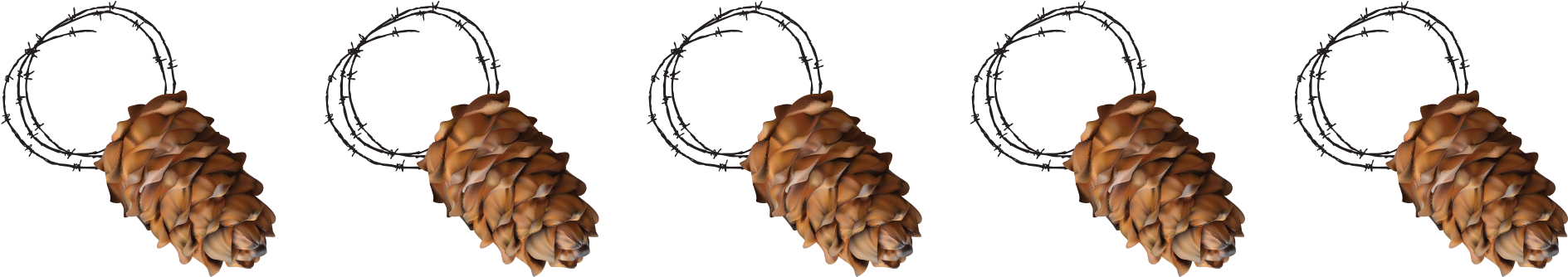Attach A Short Length Of Twine To Each Pinecone By - Conifer Cone (1920x400), Png Download