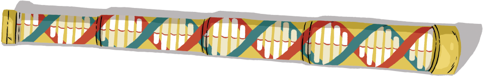 Eva Bee (999x253), Png Download