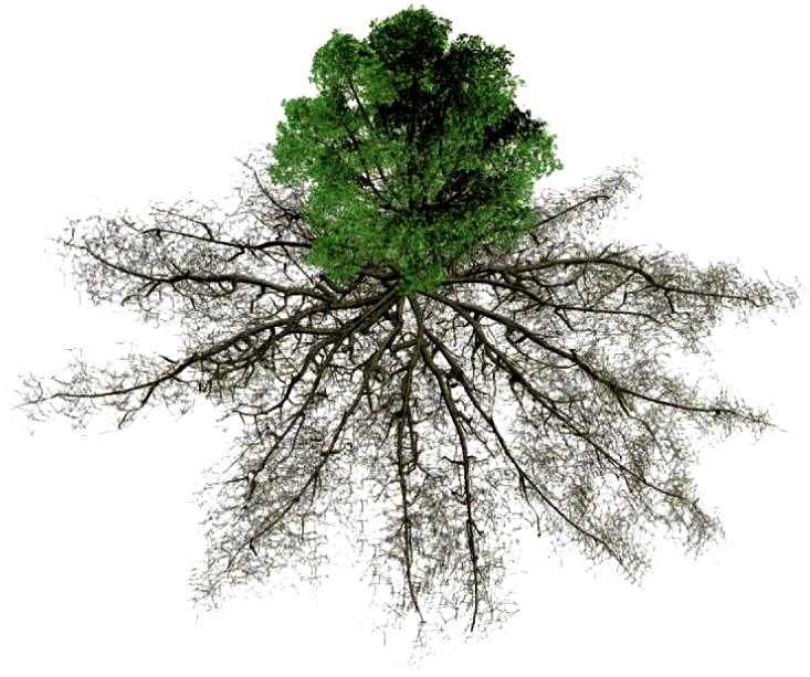 Soil (732x640), Png Download