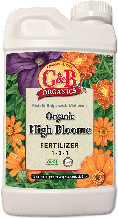Gbo High Bloom (575x851), Png Download