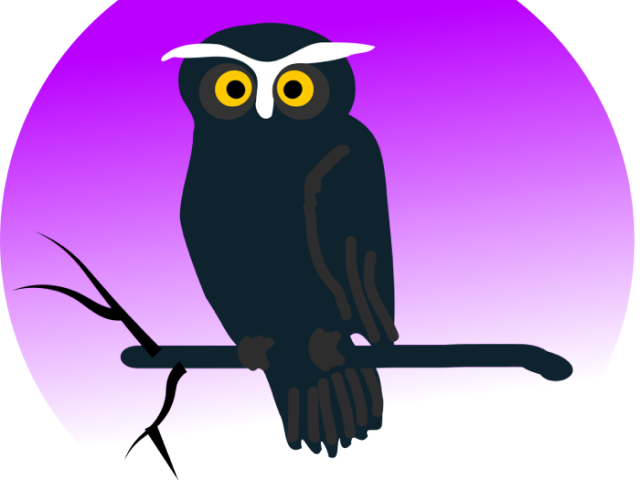 Barn Owl Clipart Branch Clipart Free - Halloween Owl Shower Curtain (640x480), Png Download