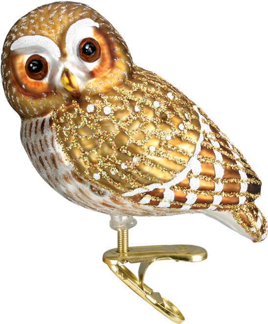 Click - Old World Christmas Glass Ornament - Pygmy Owl (1000x1000), Png Download