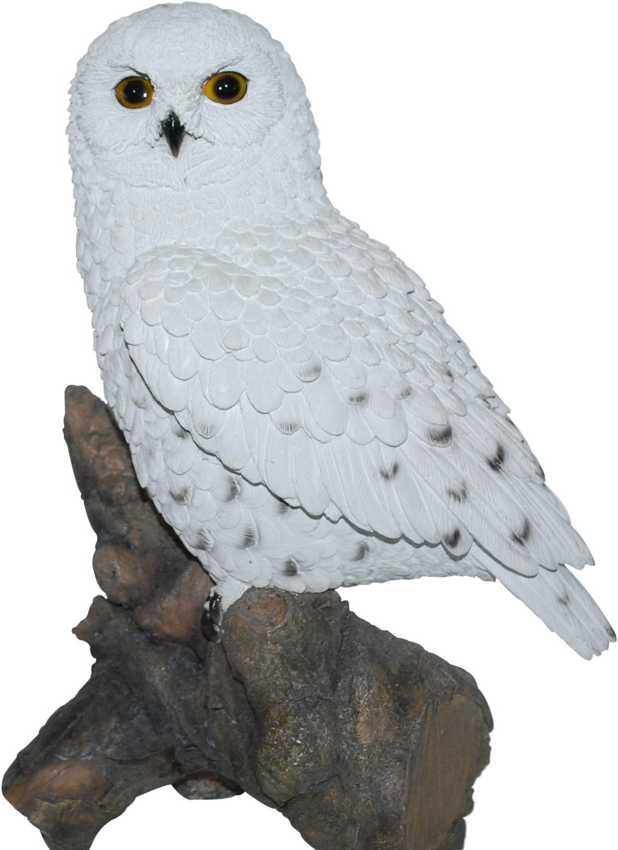Perrywood Online Shopping - Snowy Owl (1307x1786), Png Download