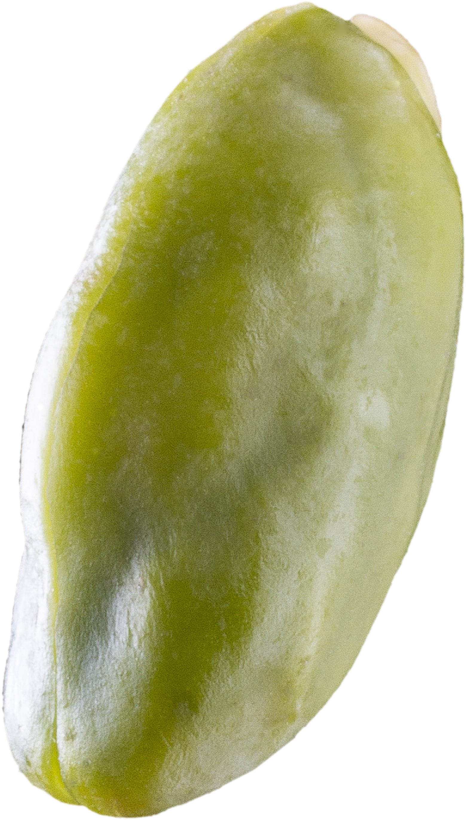 Pistachio02 (2192x2996), Png Download
