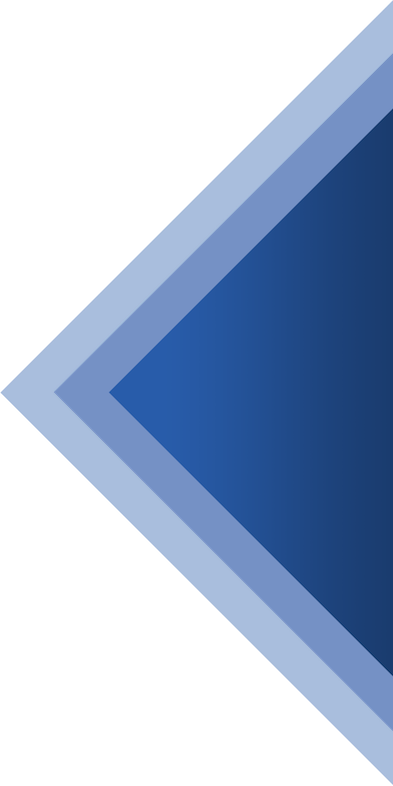 Ecommerce - Business (393x786), Png Download