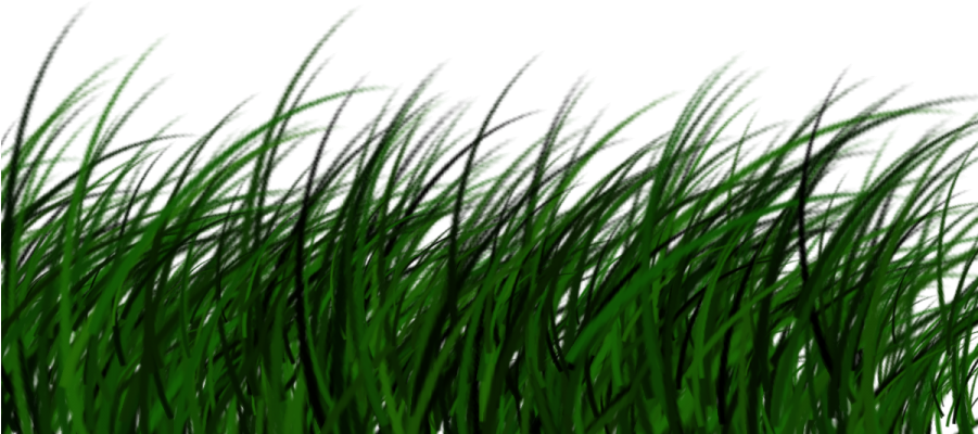 Free Download High Quality Grass Png Transparent Image - Png Grass (900x900), Png Download