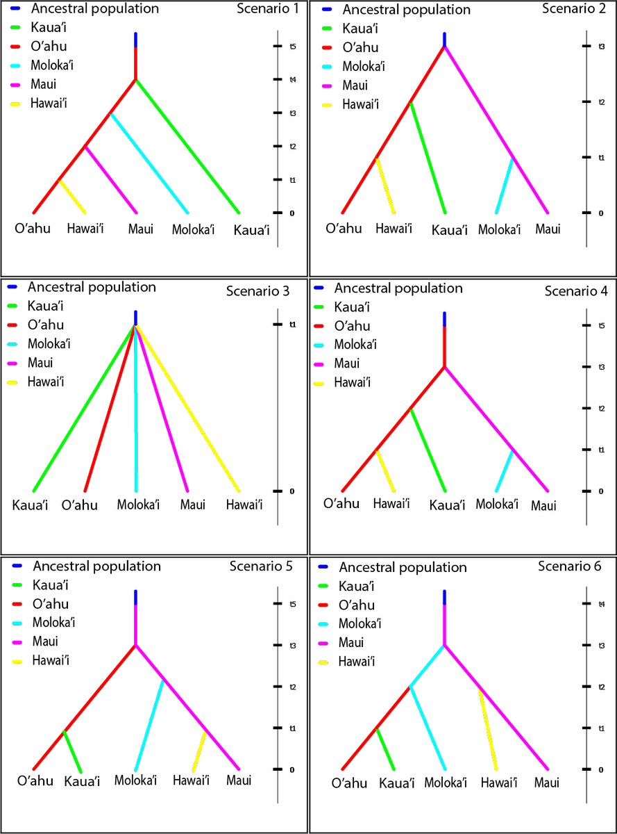 Ecography On Twitter - Diagram (889x1200), Png Download