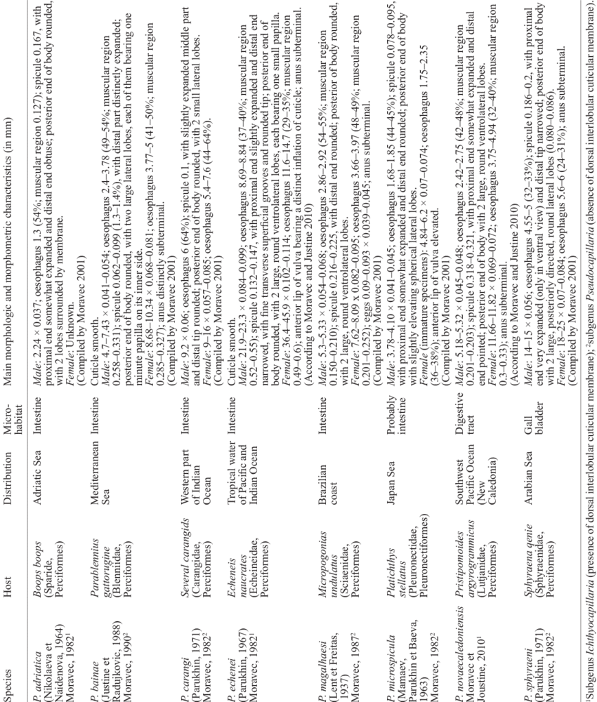 Download - Document (850x1000), Png Download