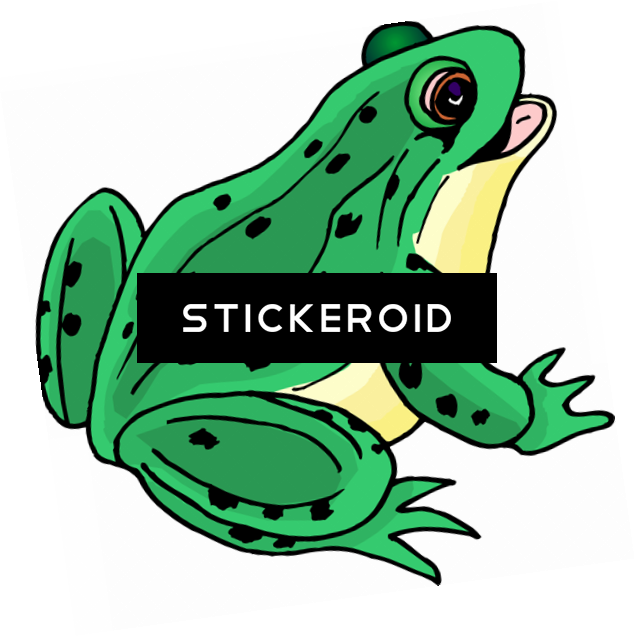 Frog Clip Art - Frog Clipart (635x636), Png Download