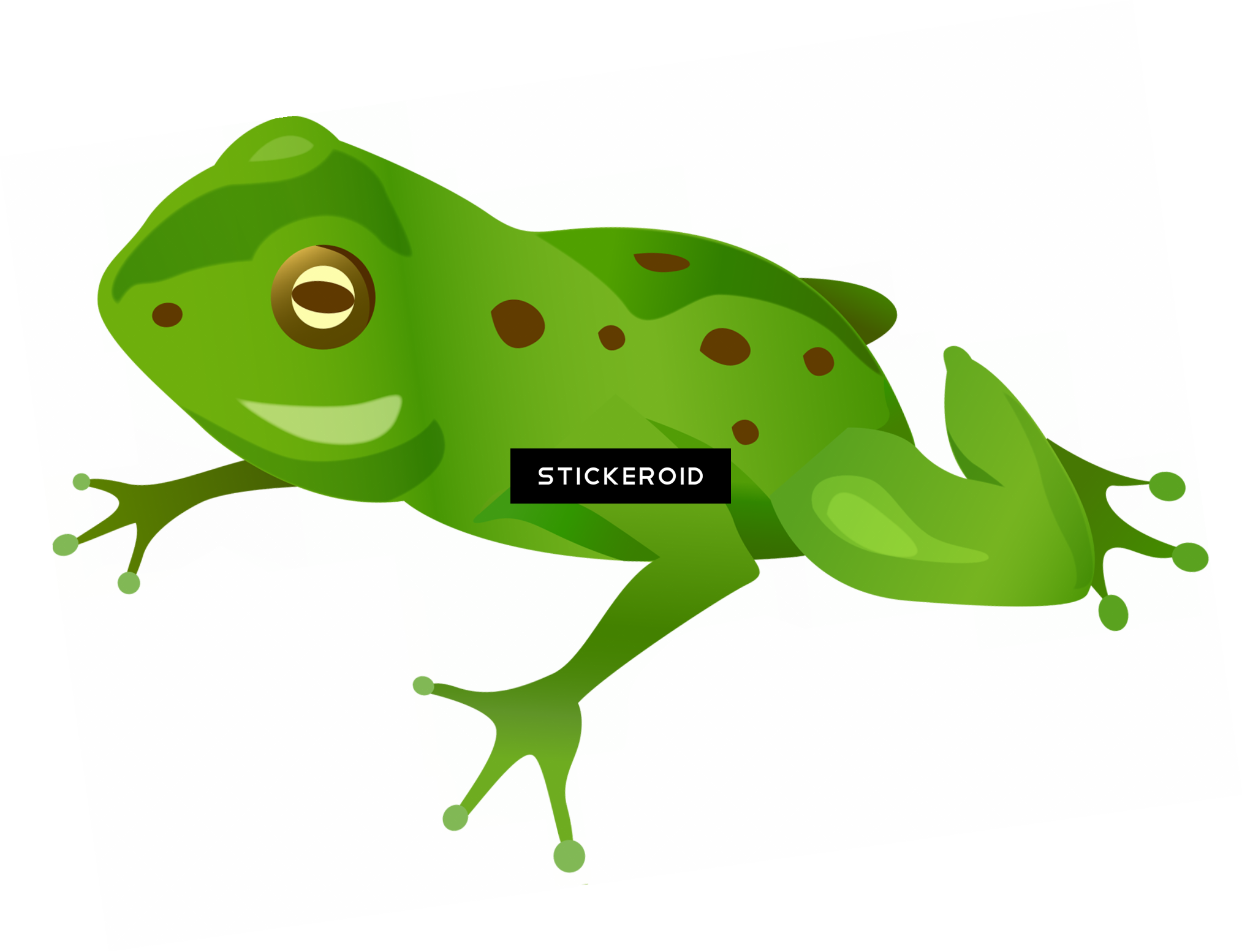 Frog Animals - Frog (2027x1554), Png Download