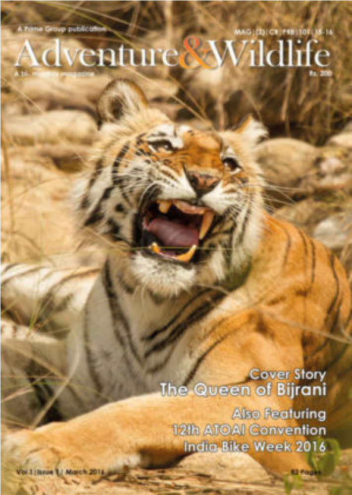 Magazine Cover Pictures - Magazine (1280x1000), Png Download