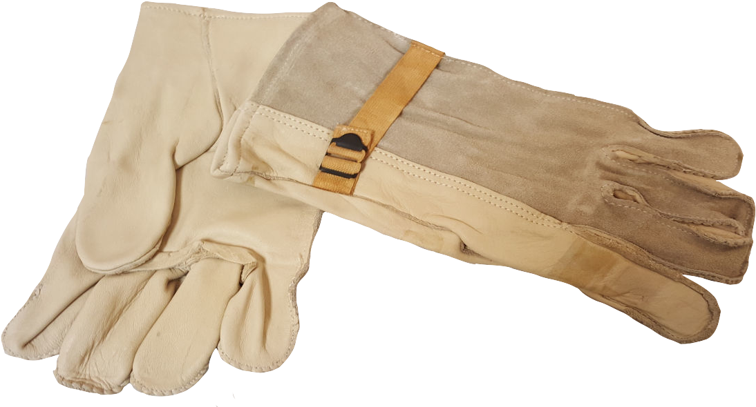 Vietnam Era M1950 Cattle Hide Leather Glove (1200x600), Png Download