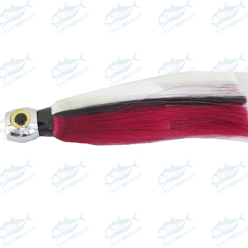 Sea Star - Google Chrome (800x800), Png Download