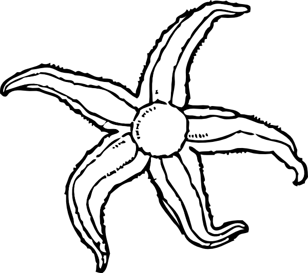 Clipart Info - Water Animal Clipart Black And White (600x533), Png Download
