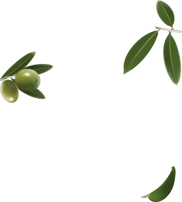 Olive Oils - Persian Lime (765x882), Png Download