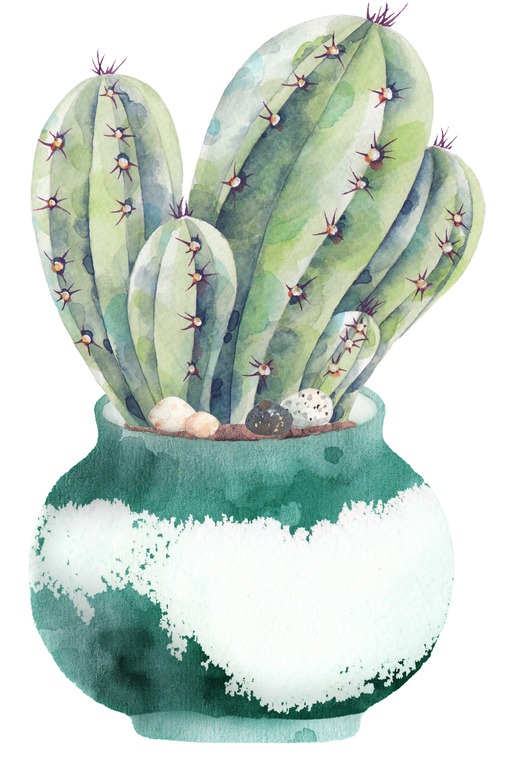 Hand Painted A Plate Of Cactus Png Transparent - Cactus Watercolor Painting Poster (1024x1592), Png Download