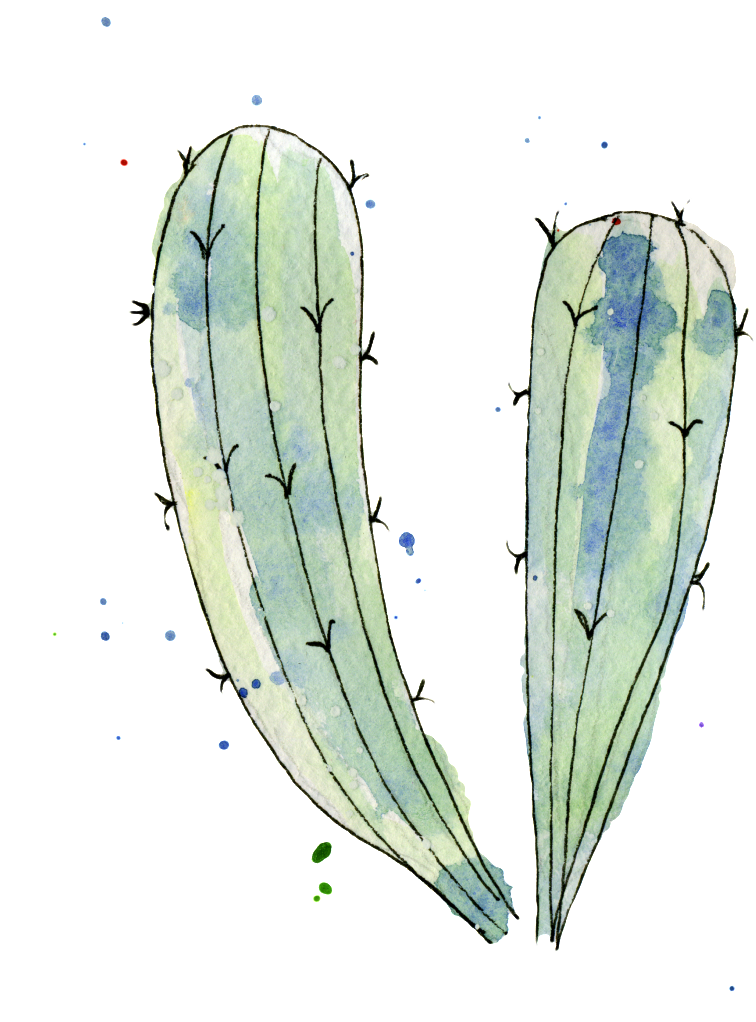 Blue Green Cactus Watercolor Hand Painted Transparent - Illustration (1024x1024), Png Download