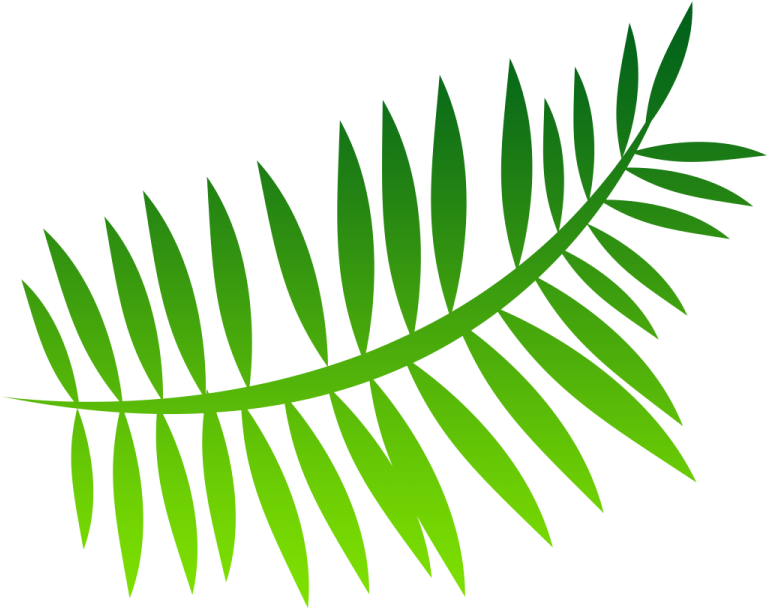Fern Png Image - Green Leaf Art Forest 2 Canvas Art | Canvas Art | Ys061010c (900x900), Png Download
