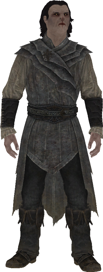 Wiki (390x965), Png Download