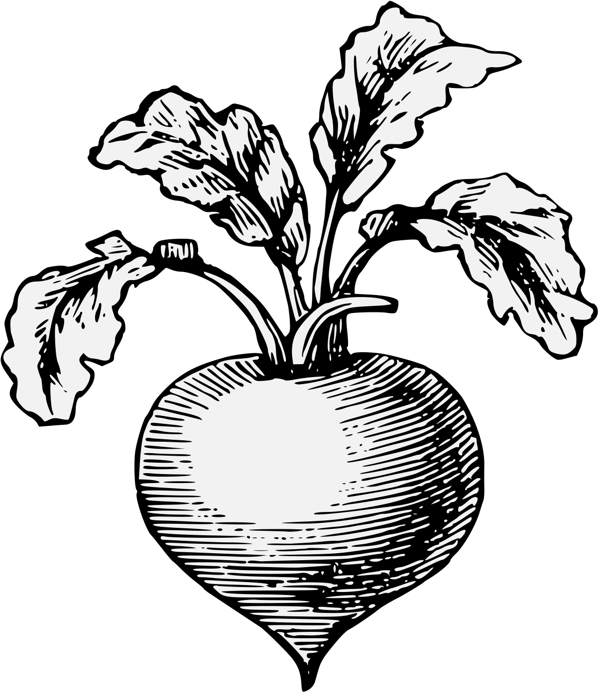 Details, Png - Stock Illustration (1220x1406), Png Download