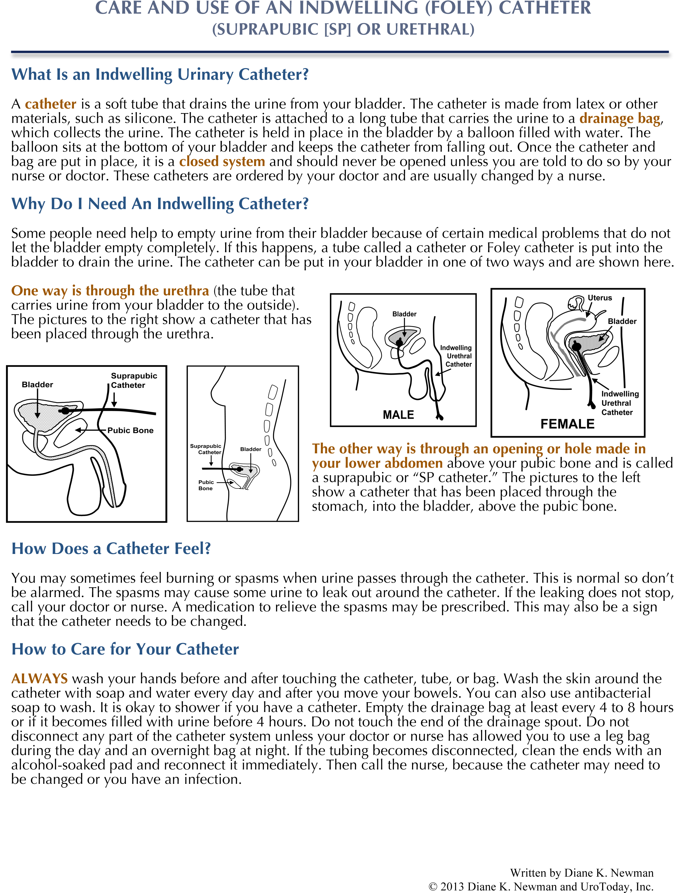 Careofaniuc4-2 - Document (2418x3161), Png Download