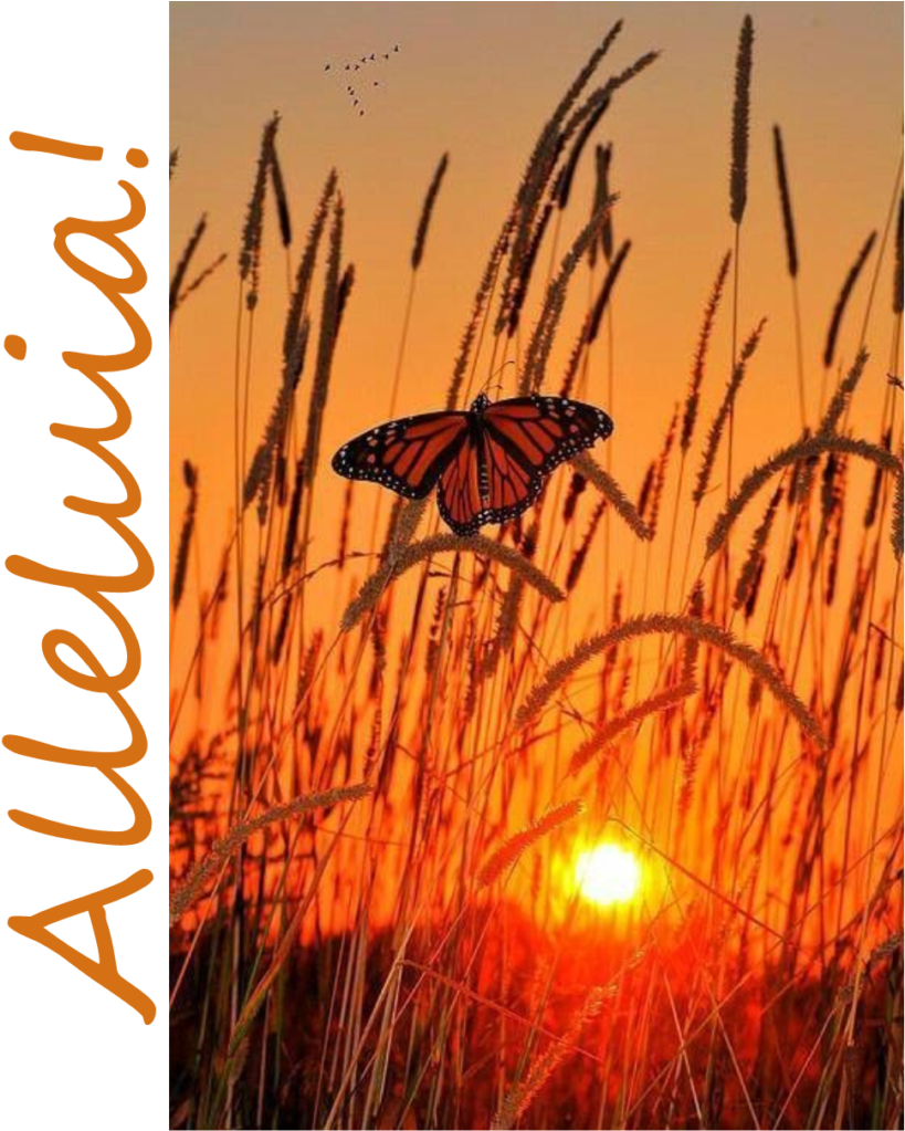 Easter Sunday, April 1, 2018, Worship Bulletin, Prayer - Sunrise Butterfly (835x1024), Png Download