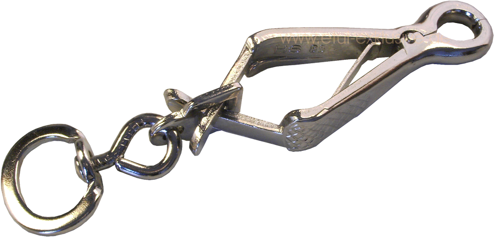 Zangen Karabiner Für Hundeleinen (1024x508), Png Download