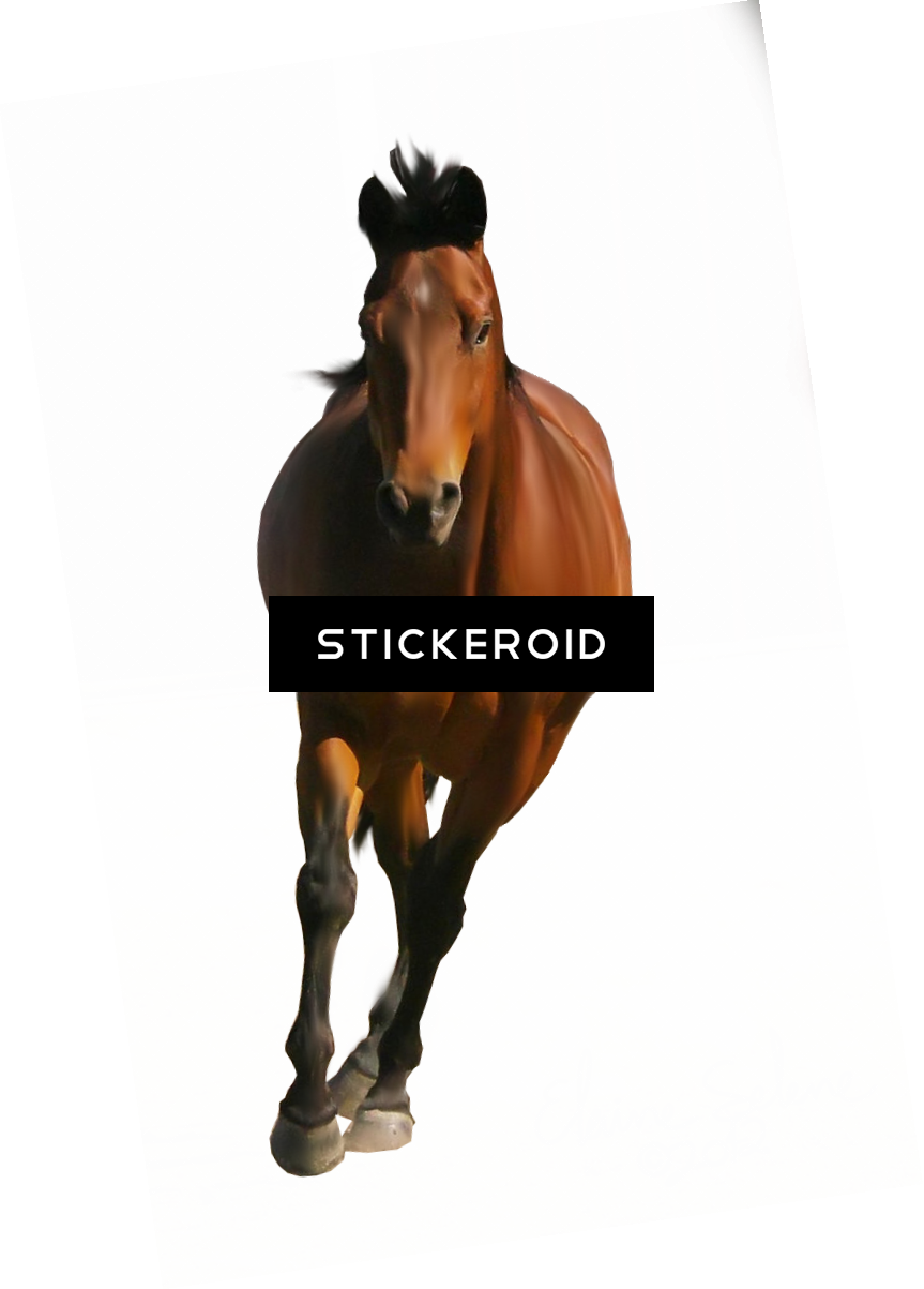 Horse - Portable Network Graphics (863x1203), Png Download