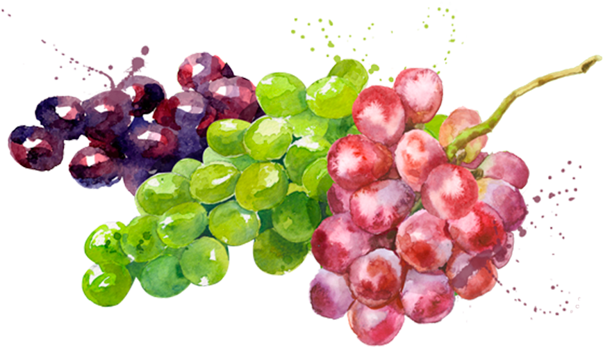 Prod Fruta Uvas - Simple Modern High-quality Watermelon Olives Grapes (1024x768), Png Download