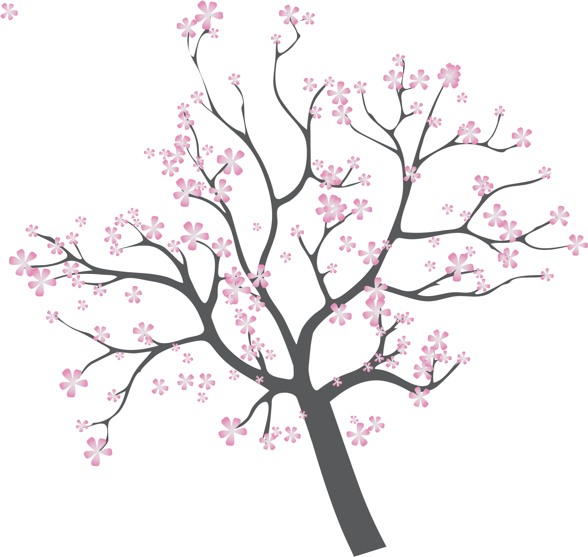 Sunset Illustration Branches Transprent - Cherry Blossom (2207x2090), Png Download