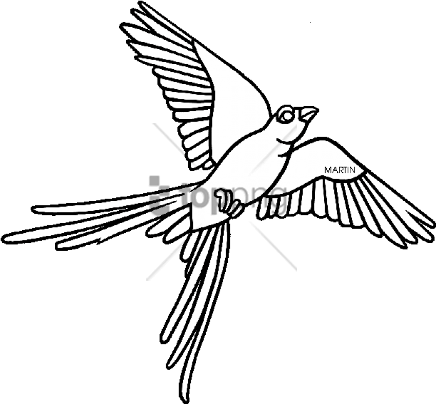 Oklahoma State Bird Clipart Oklahoma State University - Oklahoma State Bird Drawing (648x594), Png Download