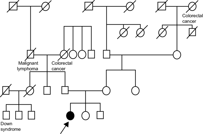 Arrow Indicates The Proband - Diagram (850x561), Png Download