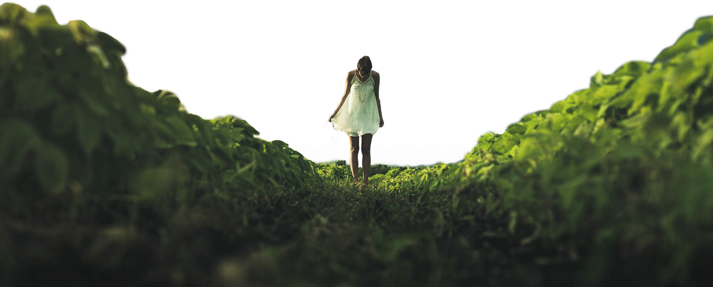 Great Visual Ideas - Woman (2400x968), Png Download