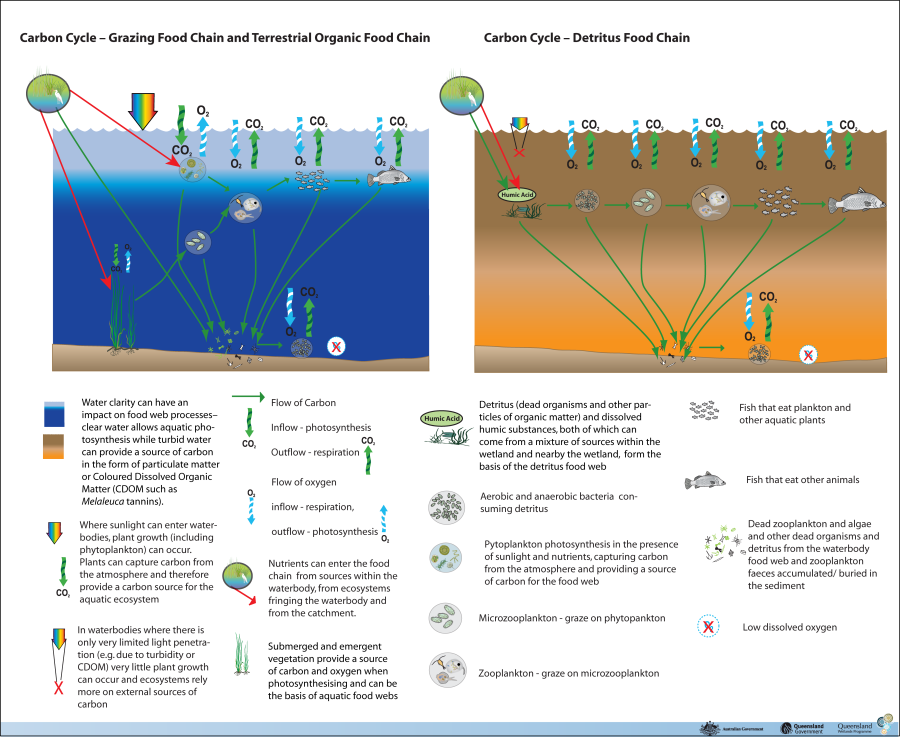 22 March - 'wanted. Child Molester' (900x737), Png Download