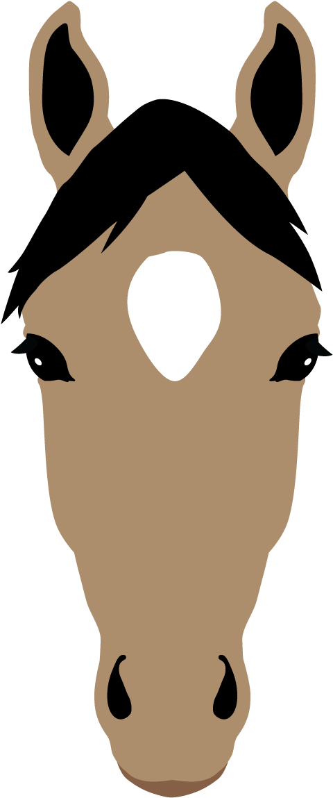 Star - Horse Markings (1800x1400), Png Download