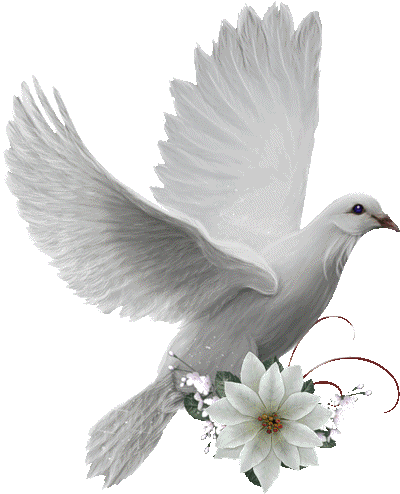 Birds, Animals, Beautiful, Polyvore, Cards, Backgrounds, - Océan De Joie En Jésus Bon Dimanche (600x600), Png Download