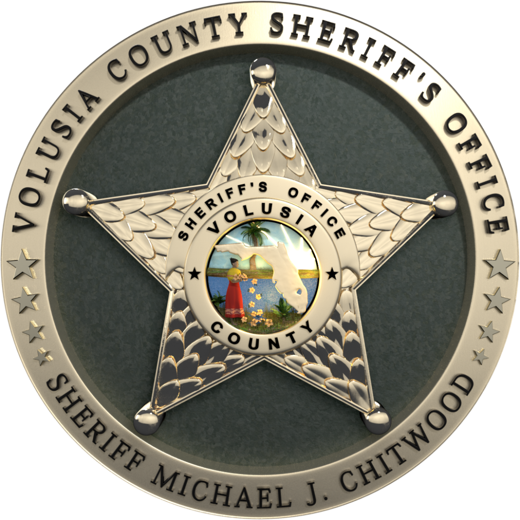 Scammers' Insults And Injury - Volusia County Sheriff's Office Logo (1039x1039), Png Download