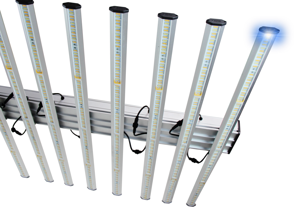 Phaser X660 Pro Wholesale - Light-emitting Diode (1243x875), Png Download