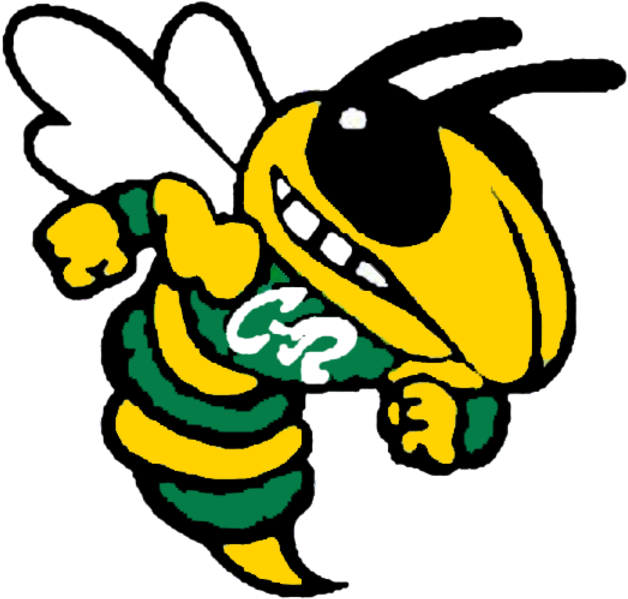 The Leipsic Vikings Defeat The Cory-rawson Hornets - Cory Rawson Hornets (720x688), Png Download
