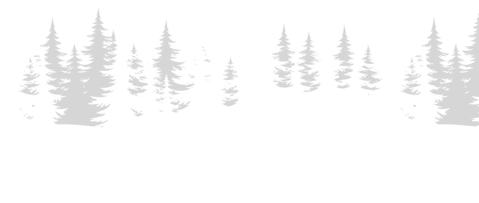 Christmas Tree (1600x700), Png Download